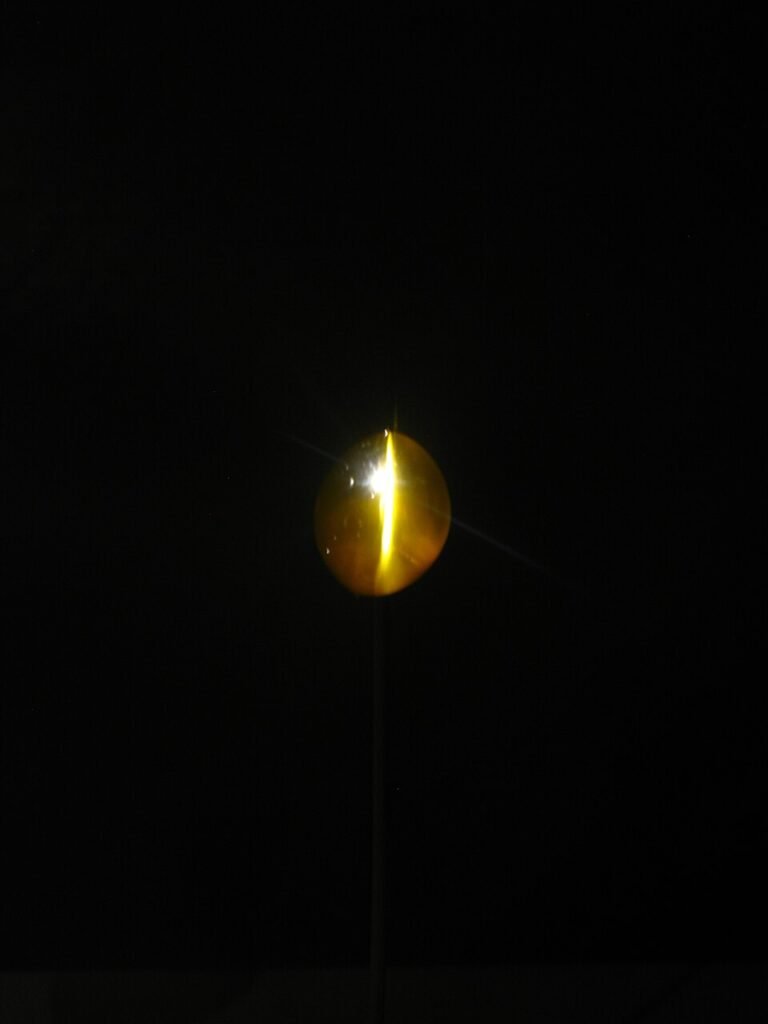Lehsunia &middot; Cat&rsquo;s Eye