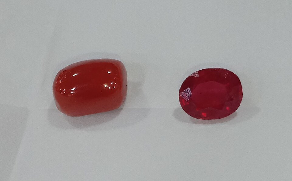 Moonga &middot; Red Coral